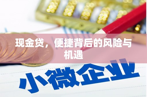 巴音郭楞蒙古现金贷，便捷背后的风险与机遇
