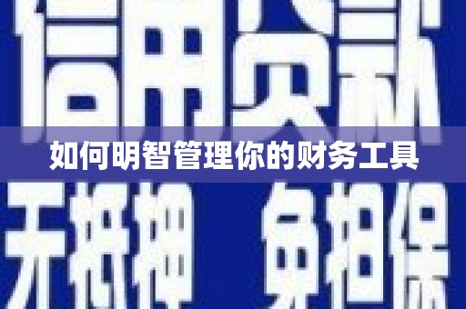 巴音郭楞蒙古如何明智管理你的财务工具