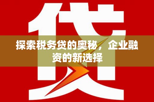 巴音郭楞蒙古探索税务贷的奥秘，企业融资的新选择