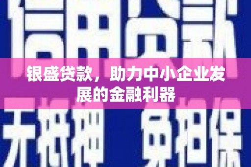 巴音郭楞蒙古银盛贷款，助力中小企业发展的金融利器