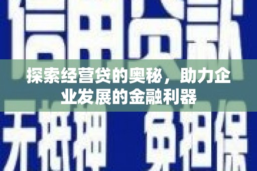 巴音郭楞蒙古探索经营贷的奥秘，助力企业发展的金融利器