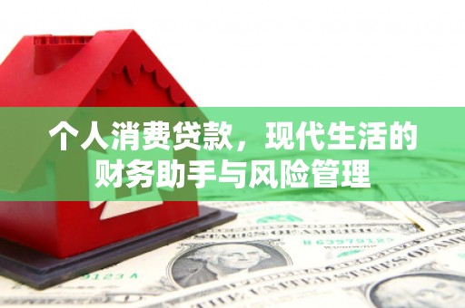 巴音郭楞蒙古个人消费贷款，现代生活的财务助手与风险管理