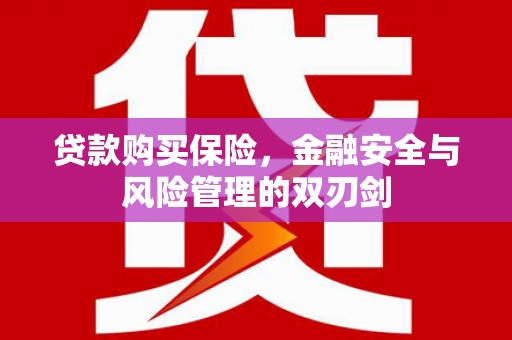 巴音郭楞蒙古贷款购买保险，金融安全与风险管理的双刃剑