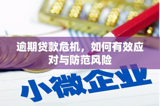 巴音郭楞蒙古逾期贷款危机，如何有效应对与防范风险