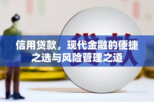 巴音郭楞蒙古信用贷款，现代金融的便捷之选与风险管理之道