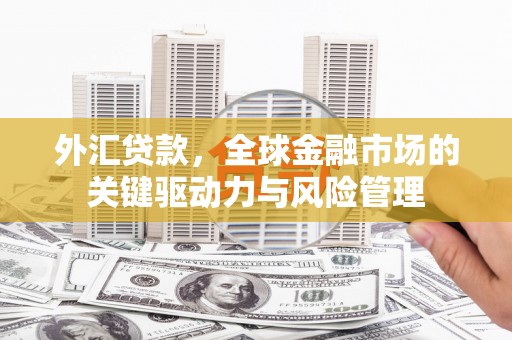 巴音郭楞蒙古外汇贷款，全球金融市场的关键驱动力与风险管理