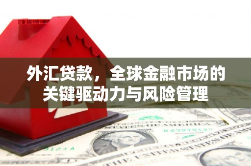 巴音郭楞蒙古外汇贷款，全球金融市场的关键驱动力与风险管理
