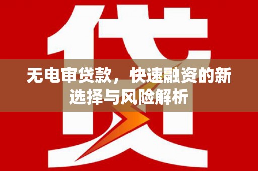 巴音郭楞蒙古无电审贷款，快速融资的新选择与风险解析