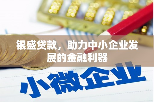 巴音郭楞蒙古银盛贷款，助力中小企业发展的金融利器