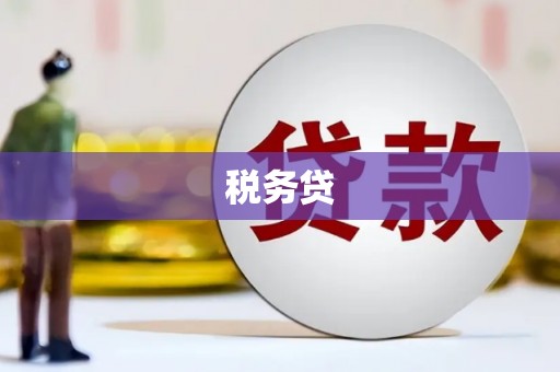 巴音郭楞蒙古税务贷