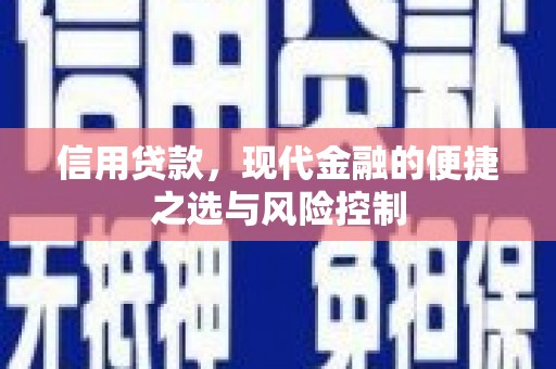 巴音郭楞蒙古信用贷款，现代金融的便捷之选与风险控制