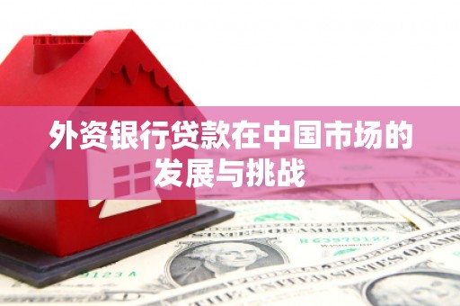 巴音郭楞蒙古外资银行贷款在中国市场的发展与挑战