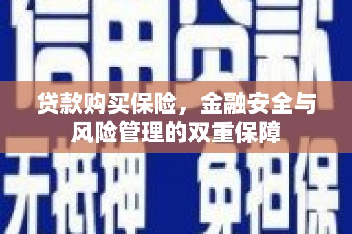 巴音郭楞蒙古贷款购买保险，金融安全与风险管理的双重保障