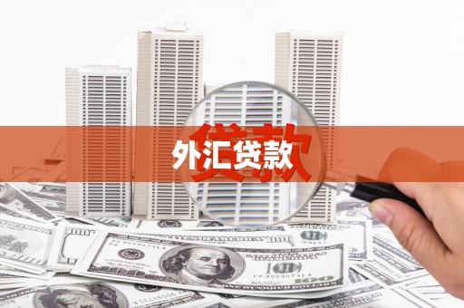 巴音郭楞蒙古外汇贷款