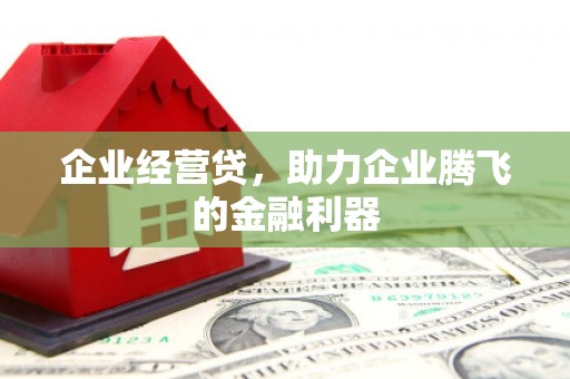 巴音郭楞蒙古企业经营贷，助力企业腾飞的金融利器