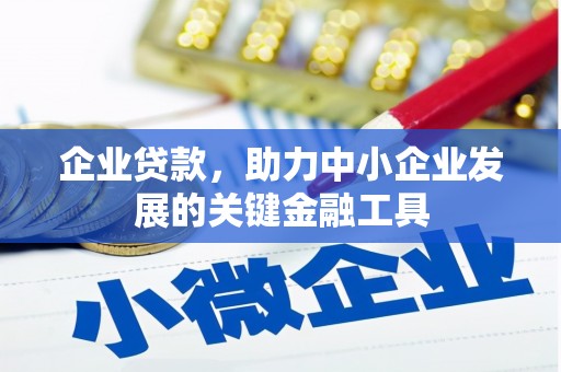 巴音郭楞蒙古企业贷款，助力中小企业发展的关键金融工具