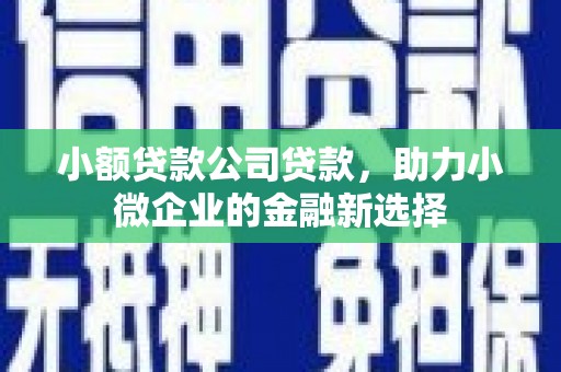 巴音郭楞蒙古小额贷款公司贷款，助力小微企业的金融新选择