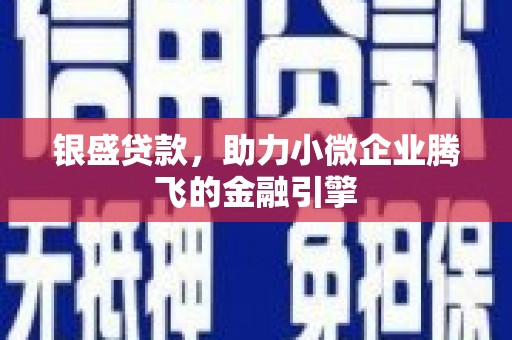 巴音郭楞蒙古银盛贷款，助力小微企业腾飞的金融引擎