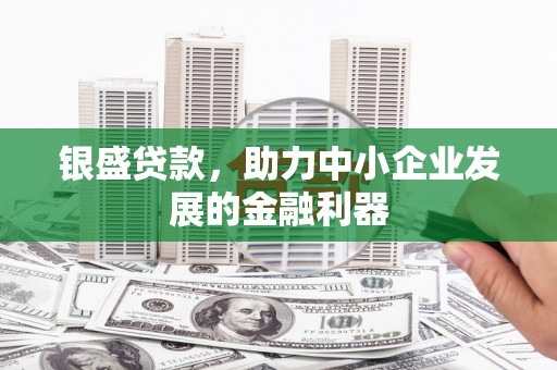 巴音郭楞蒙古银盛贷款，助力中小企业发展的金融利器