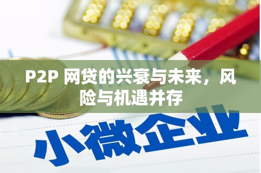 巴音郭楞蒙古P2P 网贷的兴衰与未来，风险与机遇并存