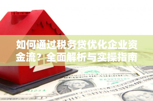巴音郭楞蒙古如何通过税务贷优化企业资金流？全面解析与实操指南
