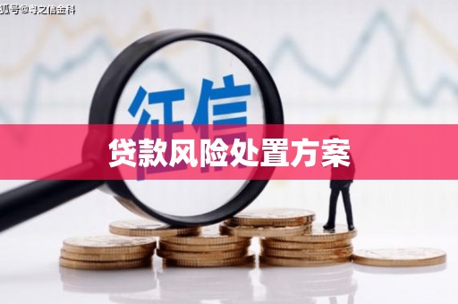 巴音郭楞蒙古贷款风险处置方案