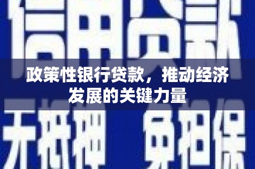 巴音郭楞蒙古政策性银行贷款，推动经济发展的关键力量