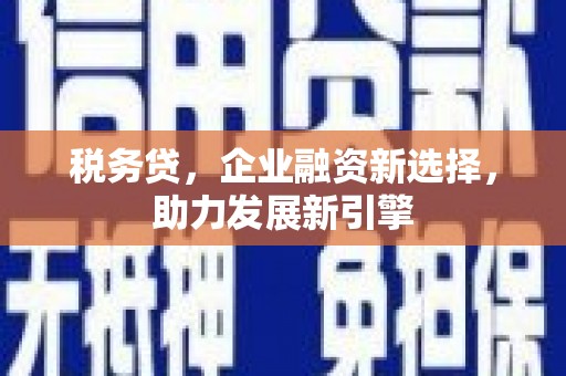 巴音郭楞蒙古税务贷，企业融资新选择，助力发展新引擎
