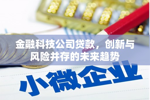 巴音郭楞蒙古金融科技公司贷款，创新与风险并存的未来趋势