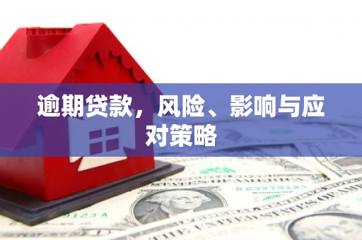 巴音郭楞蒙古逾期贷款，风险、影响与应对策略