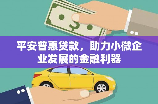 巴音郭楞蒙古平安普惠贷款，助力小微企业发展的金融利器