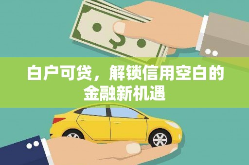 巴音郭楞蒙古白户可贷，解锁信用空白的金融新机遇