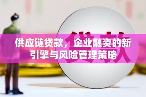 巴音郭楞蒙古供应链贷款，企业融资的新引擎与风险管理策略