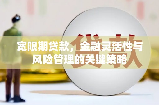 巴音郭楞蒙古宽限期贷款，金融灵活性与风险管理的关键策略