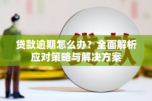 巴音郭楞蒙古贷款逾期怎么办？全面解析应对策略与解决方案