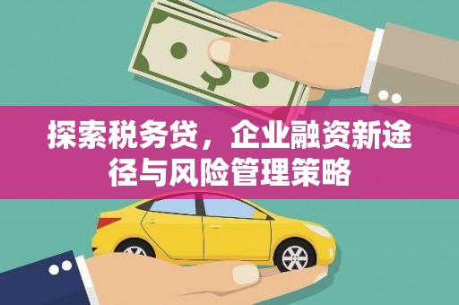 巴音郭楞蒙古探索税务贷，企业融资新途径与风险管理策略