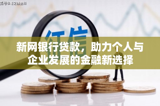 巴音郭楞蒙古新网银行贷款，助力个人与企业发展的金融新选择