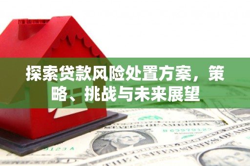 巴音郭楞蒙古探索贷款风险处置方案，策略、挑战与未来展望