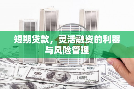 巴音郭楞蒙古短期贷款，灵活融资的利器与风险管理