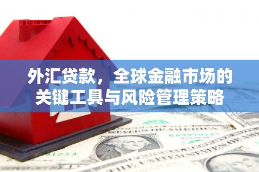 巴音郭楞蒙古外汇贷款，全球金融市场的关键工具与风险管理策略