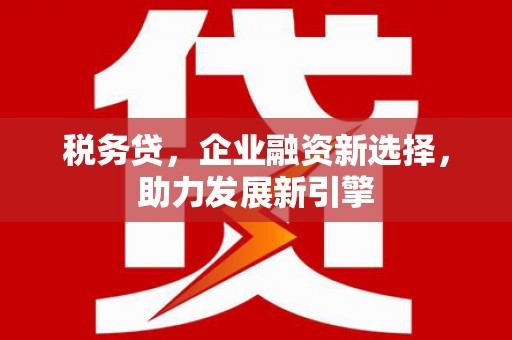 巴音郭楞蒙古税务贷，企业融资新选择，助力发展新引擎