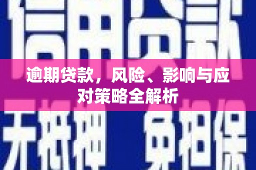 巴音郭楞蒙古逾期贷款，风险、影响与应对策略全解析