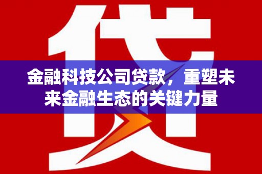 巴音郭楞蒙古金融科技公司贷款，重塑未来金融生态的关键力量
