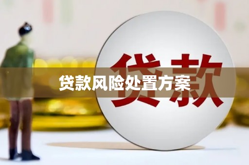 巴音郭楞蒙古贷款风险处置方案