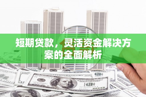 巴音郭楞蒙古短期贷款，灵活资金解决方案的全面解析