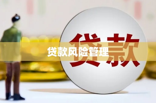巴音郭楞蒙古贷款风险管理