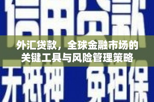 巴音郭楞蒙古外汇贷款，全球金融市场的关键工具与风险管理策略