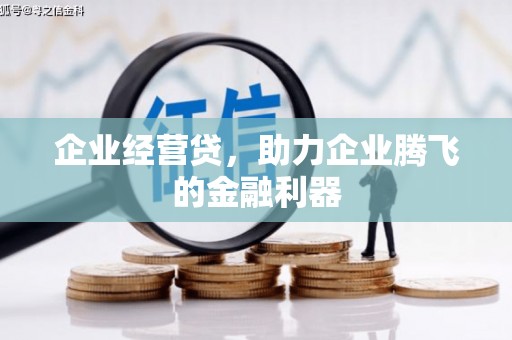 巴音郭楞蒙古企业经营贷，助力企业腾飞的金融利器