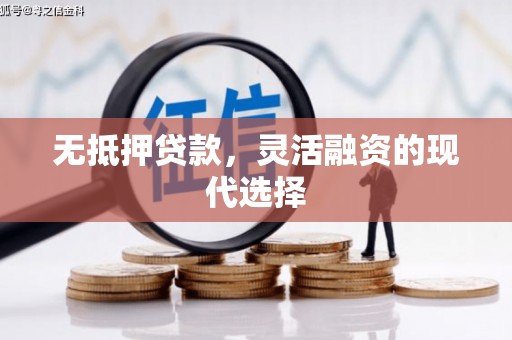 巴音郭楞蒙古无抵押贷款，灵活融资的现代选择