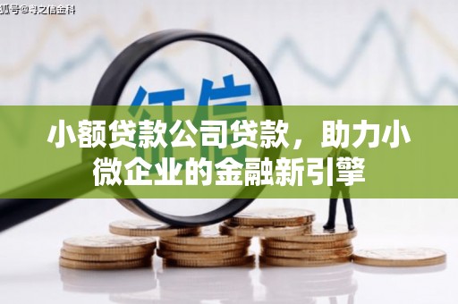巴音郭楞蒙古小额贷款公司贷款，助力小微企业的金融新引擎